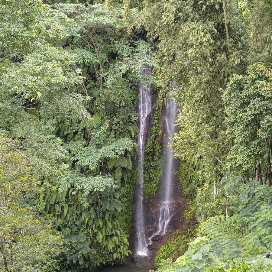Munduk Tutub Waterfall View Exterior foto