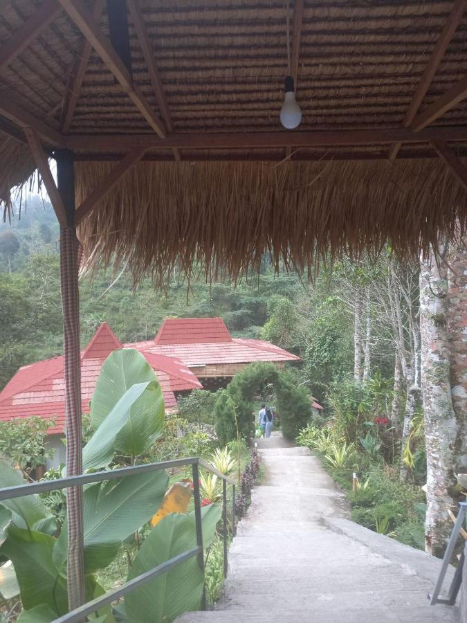 Munduk Tutub Waterfall View Exterior foto
