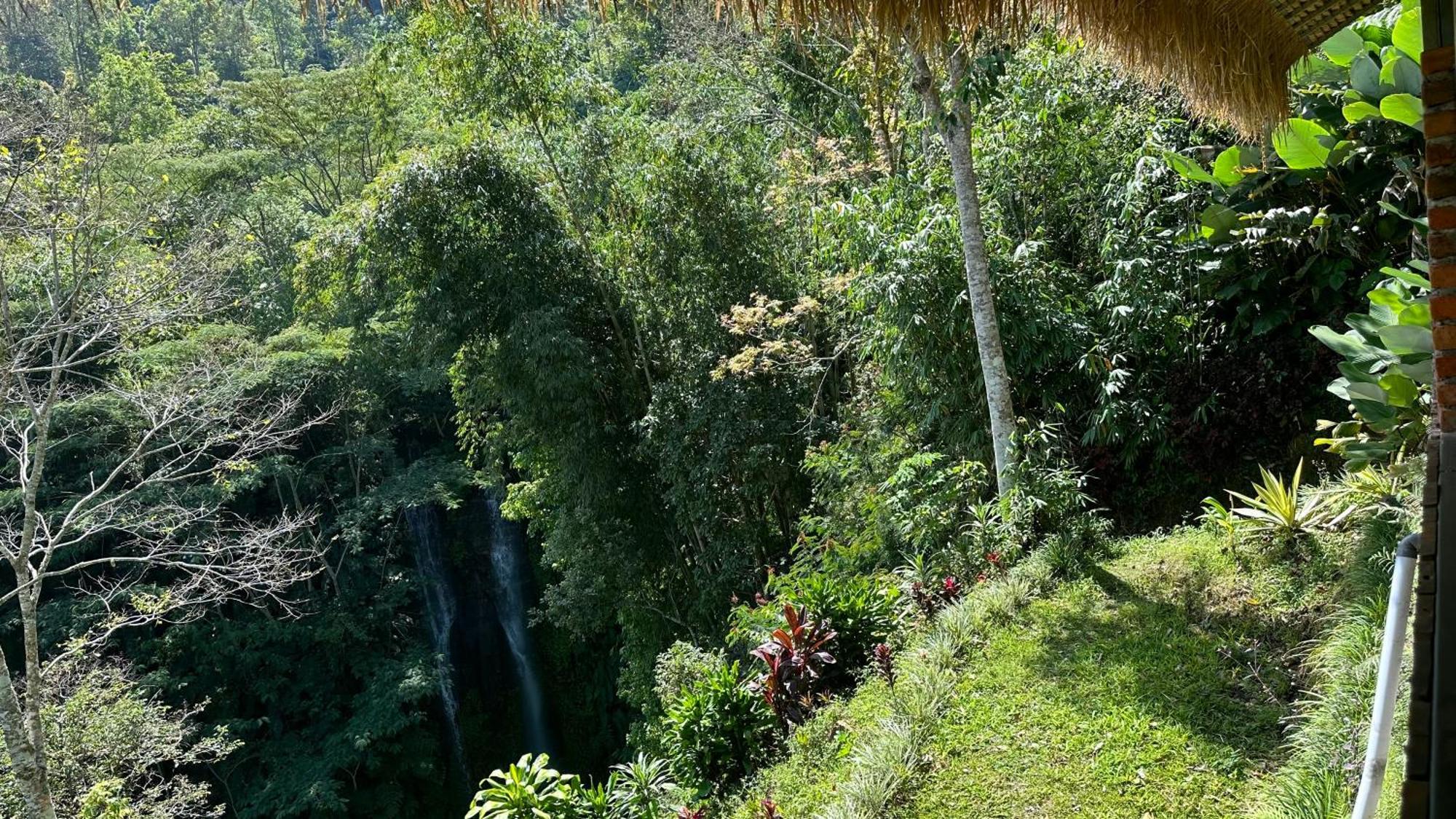 Munduk Tutub Waterfall View Exterior foto
